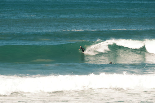 DSCF4736.jpg