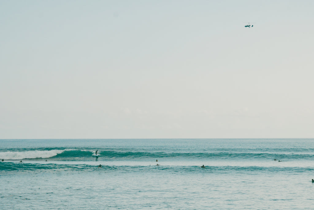 Personalized surf safari