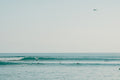 Personalized surf safari